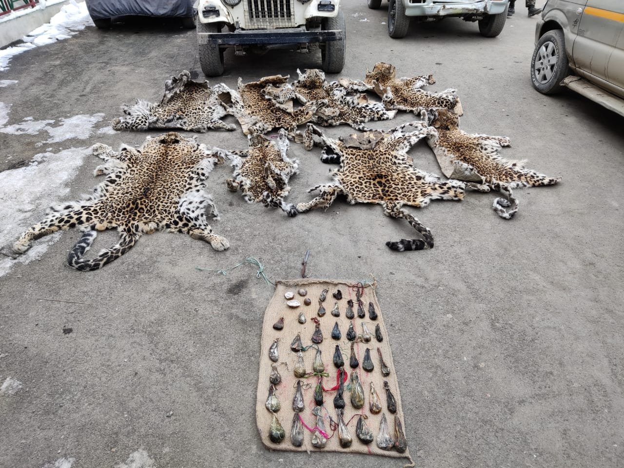 Wildlife Crime Control Bureau busts wildlife trafficking syndicates in J-K