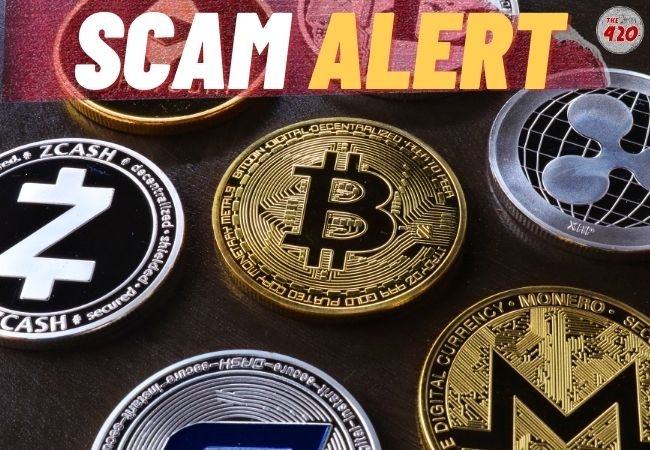 Allure Of Cryptocurrencies Remains Even As Lack Of Regulation Spurs Crypto Crimes