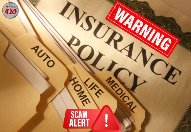 Insurance Policy Holder साइबर जालसाजों के निशाने पर, एक कॉल से हो रहा Fraud