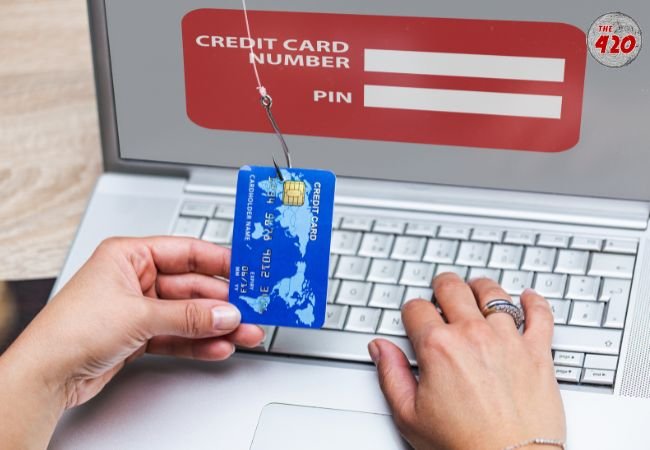 How To Not Take The Phishing Bait