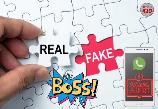 Scammers का फिशिंग अभियान, Fake CEO बनकर आईटी कंपनियों को बना रहे निशाना