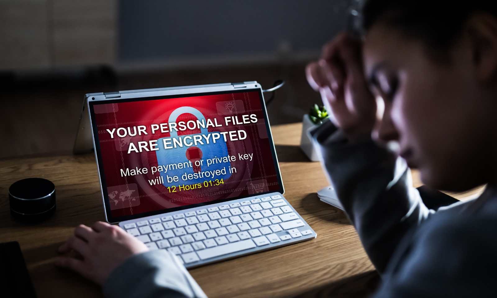 Cybercrime's Hidden Web: 120,000 Computers Infected by Stealthy Malware Network