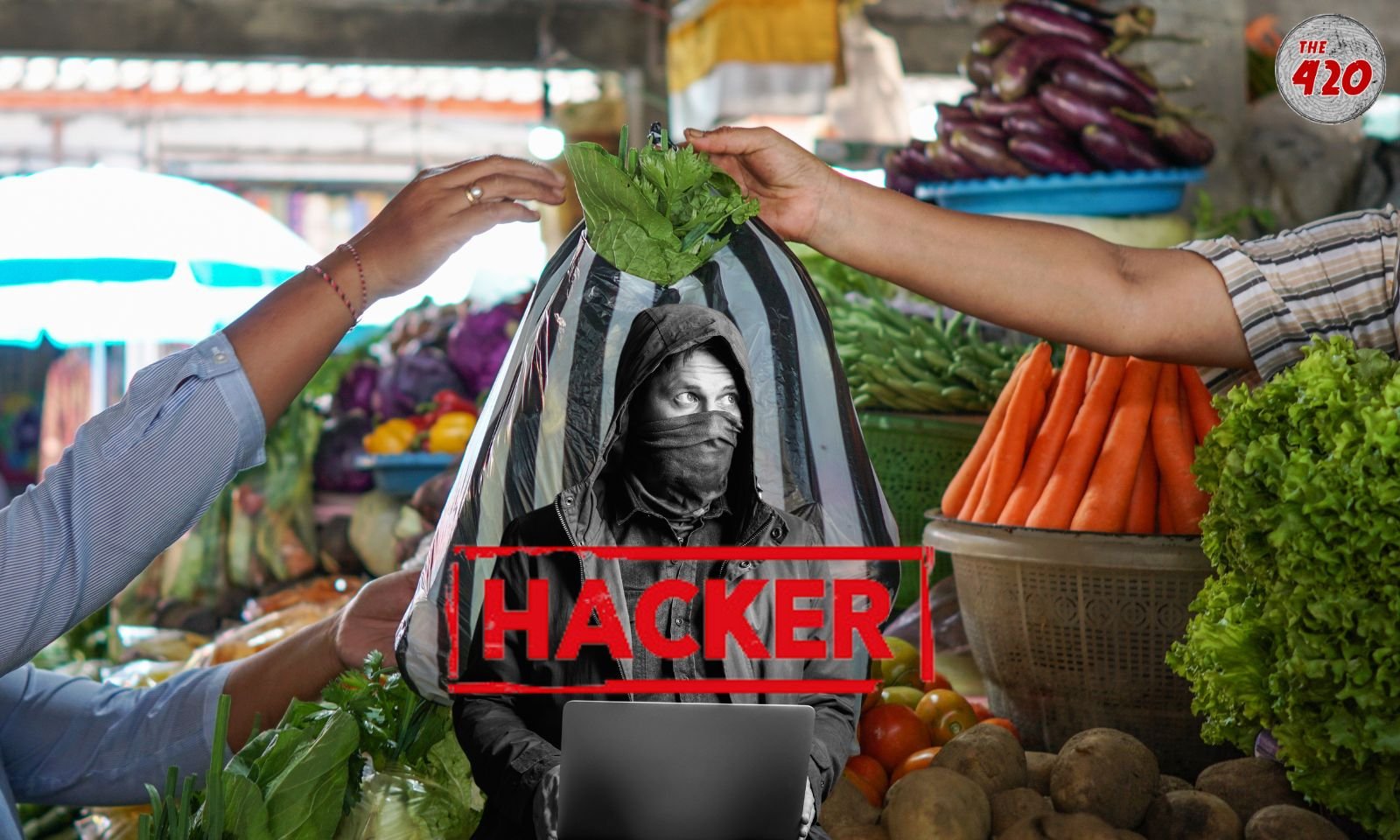 From Vegetable Seller to Mastermind of Rs 21 Crore Scam: Inside the Story of Rishabh Sharma's Dark Turn
