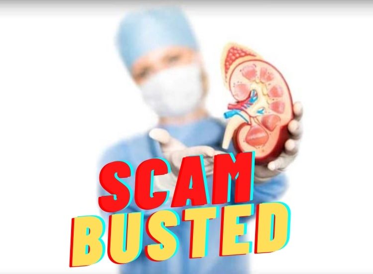 Surat: Kidney Sale Syndicate Running In Top Hospitals Names Busted, Police Arrest Nigerian National