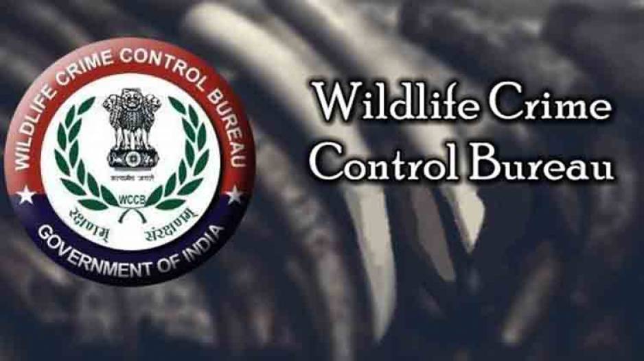 WCCB Spreads Awareness Against Illegal Wildlife Trade Through Animated Videos