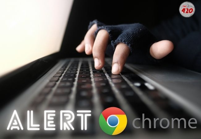 Google Chrome में खामी को लेकर भारत सरकार ने जारी की चेतावनी, यूजर्स पर साइबर अटैक का खतरा, Browser को तुरंत करें अपडेट